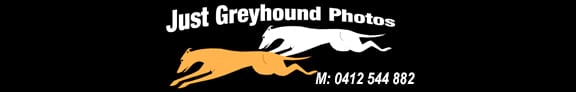 Just Greyhound Photos advert